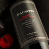 Load image into Gallery viewer, Fausto Malbec-Cabernet Franc en Estuche de Duelas
