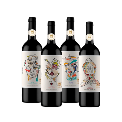 Chateau Subsónico Mix Bivarietal – caja degustación de vinos tintos