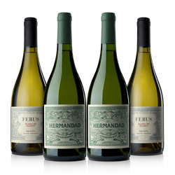 Degustación Blancos Falasco Wines